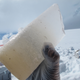 A section of ice from near the very bottom of the core. Photo Courtesy Brad Markle